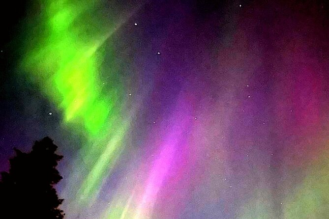 Rovaniemi: Aurora Hunting & Photography Tour - Key Highlights You’ll Actually Feel During the Night