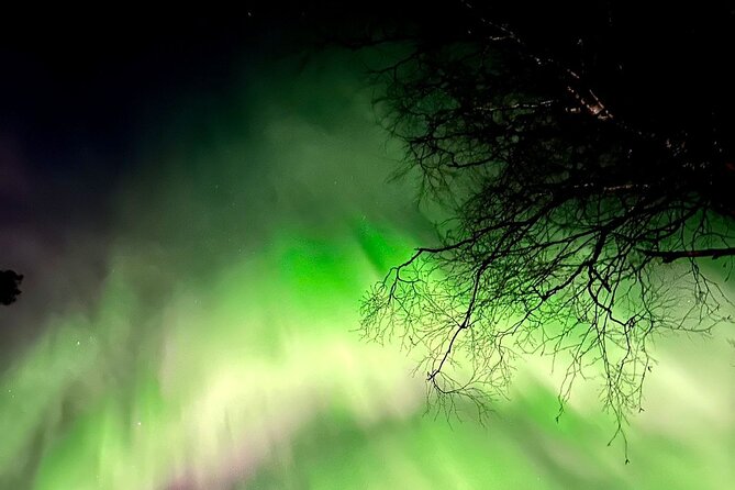 Rovaniemi: Aurora Hunting & Photography Tour - Aurora Hunting in Rovaniemi, and Why This 5-Hour Window Works