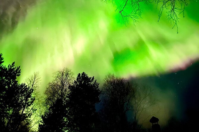 Rovaniemi: Aurora Hunting & Photography Tour - Photography Reality Check: Expect Help, Not a Guarantee