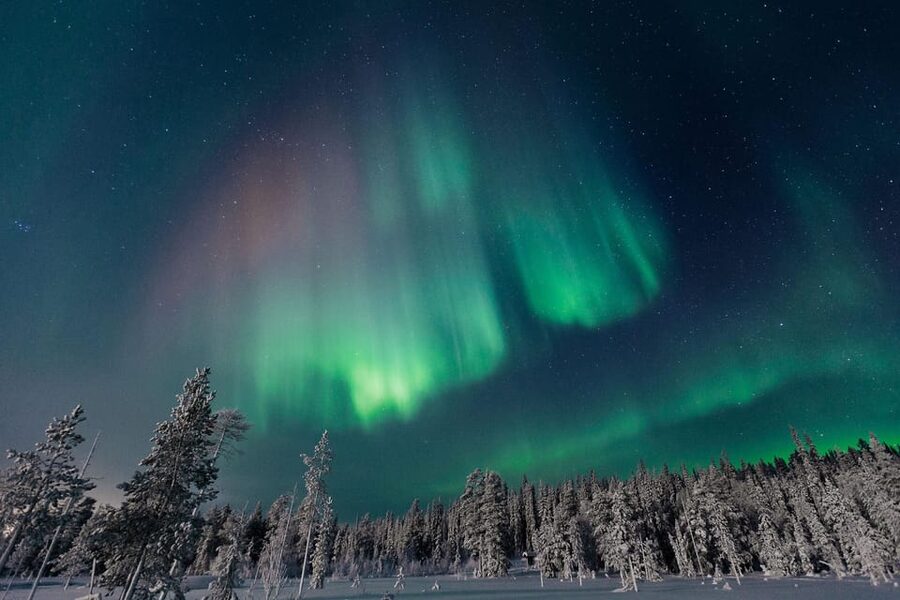 Rovaniemi: Aurora Hunting Tour in the Forest with Hot Drinks - Why This Rovaniemi Aurora Hunt Feels Better Than Staying Put
