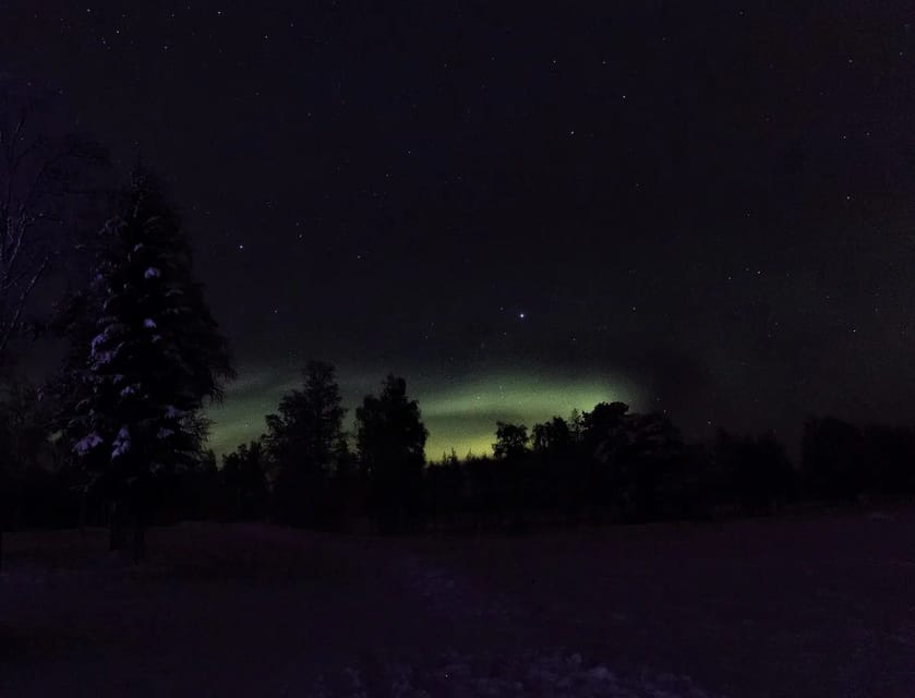 Rovaniemi: Aurora Hunting Tour in the Forest with Hot Drinks - The 3-Hour Plan: How the Night Usually Unfolds