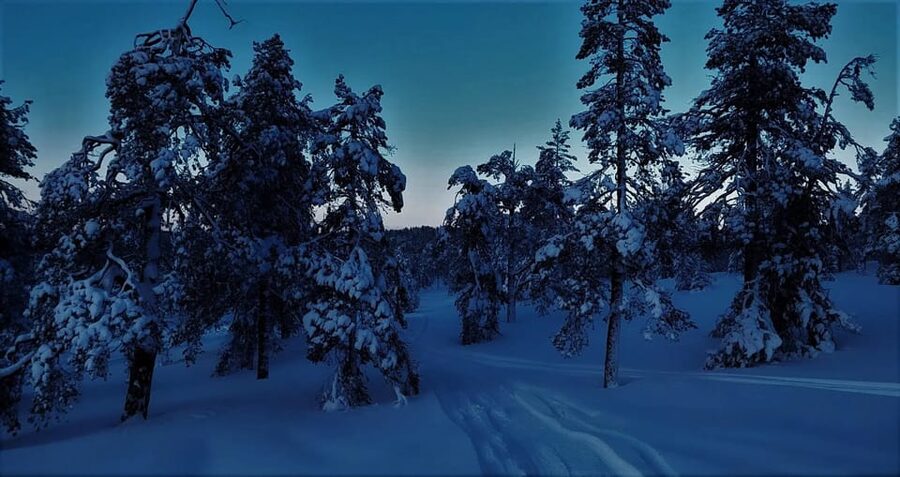 Rovaniemi: Aurora Hunting Tour in the Forest with Hot Drinks - Getting There: Arctic Lifestyle Office and Pickup Options in Rovaniemi
