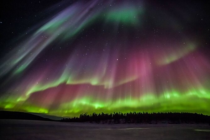 Rovaniemi Aurora Hunting Tour - Small-Group Pickup and the Real Meaning of 3 to 4 Hours