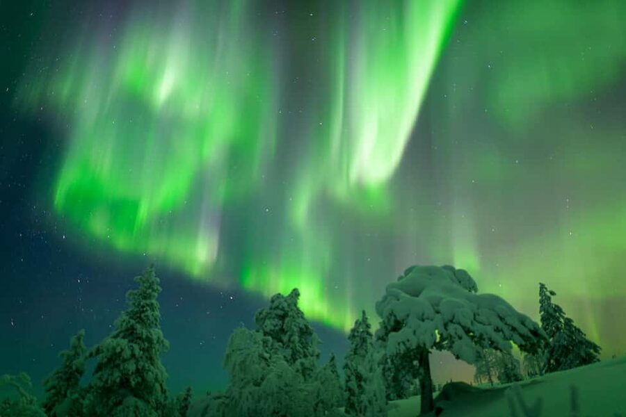 Rovaniemi: Auroras Northern Lights Trip - guaranteed lights - Key Things That Make This Aurora Trip Worth Your Time