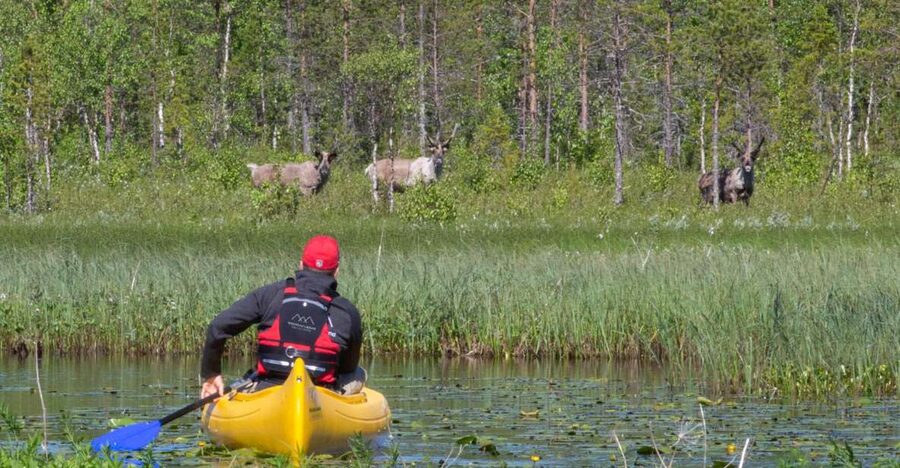 Rovaniemi: Authentic Reindeer Farm & Canoeing - Canoeing Lesson on a Peaceful Lake, Not a Thrill Ride