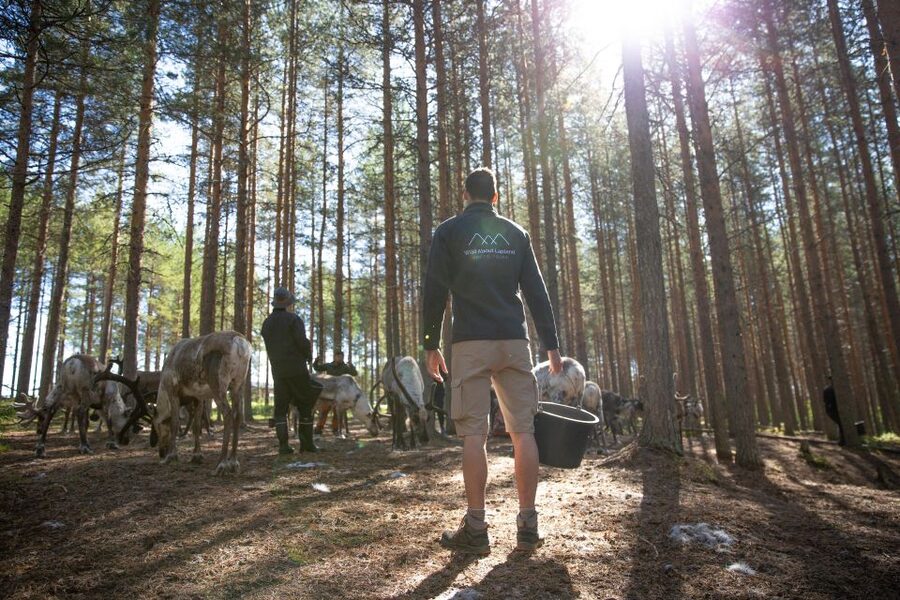 Rovaniemi: Authentic Reindeer Farm & Canoeing - How the Small-Group Format Changes the Whole Experience