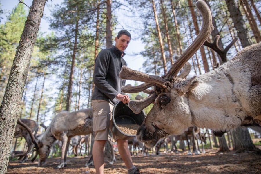 Rovaniemi: Authentic Reindeer Farm & Canoeing - What the 4-Hour Schedule Feels Like in Real Time