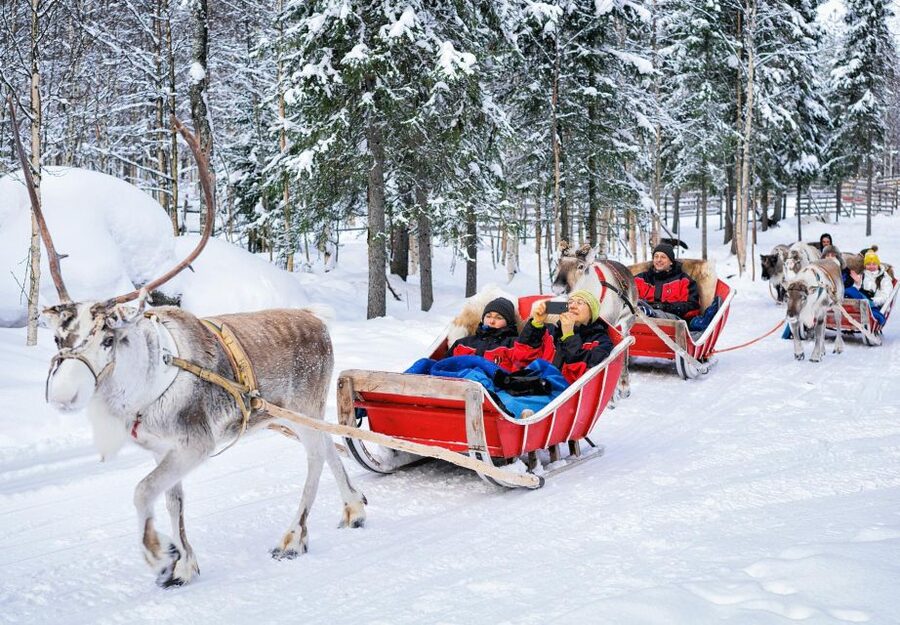 Rovaniemi: Authentic Reindeer Farm Visit & Short Sleigh Ride - Feeding your new reindeer friends (and why this part is worth it)
