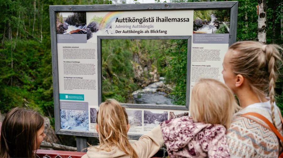 Rovaniemi: Auttiköngäs Waterfall Hike & Wilderness BBQ - Price and Value: Does $163 Make Sense for This Day?