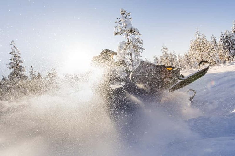 Rovaniemi: Backwoods Adventure Full Day Snowmobile Safari - Key things to know before you go
