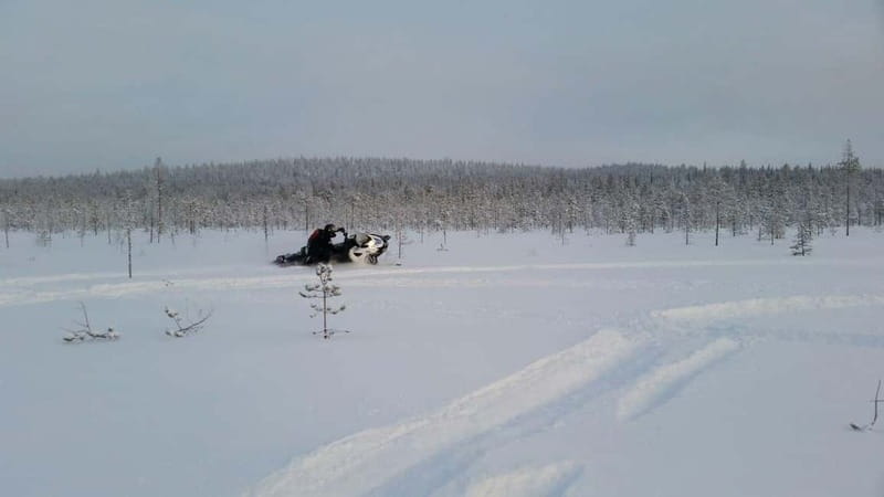 Rovaniemi: Backwoods Adventure Full Day Snowmobile Safari - Rovaniemi’s Backwoods Snowmobile Safari: What It’s Really Like