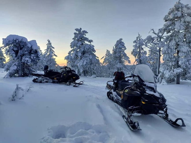 Rovaniemi: Backwoods Adventure Full Day Snowmobile Safari - The Snowmobile Setup: Shared Machines and Single Driving Advantage