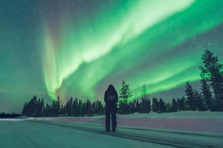 Rovaniemi: Best & Original Aurora Experience with Pro Photos - Price and value: what $128 is really buying you