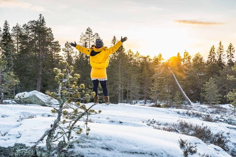 Rovaniemi City Photography Tour - Why this Rovaniemi photo tour feels different in winter