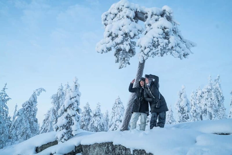 Rovaniemi City Photography Tour - The smooth start: pickup in Rovaniemi and getting oriented fast
