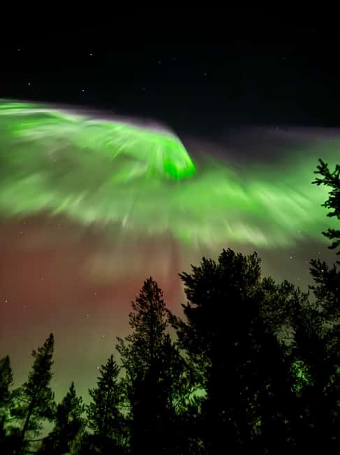 Rovaniemi: Coffee under Northern Lights & Professional Photo - Who This Tour Fits Best, and Who Should Skip It