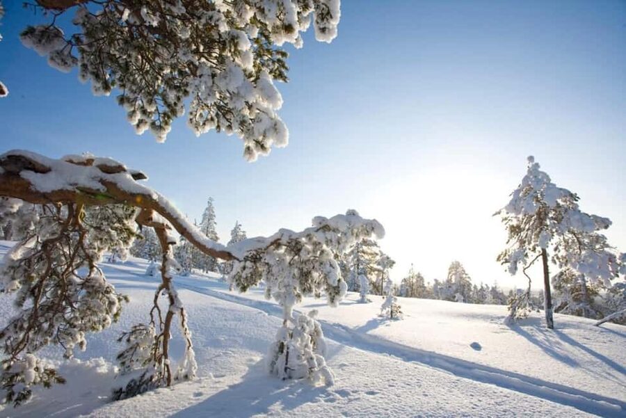 Rovaniemi: Cross-Country Skiing Adventure with Guide - Key points before you go