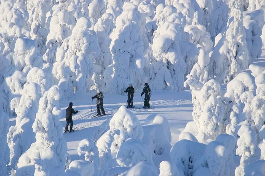 Rovaniemi: Cross Country Wilderness Ski Adventure - Price and Value: Is $199 Fair for 3.5 Hours?