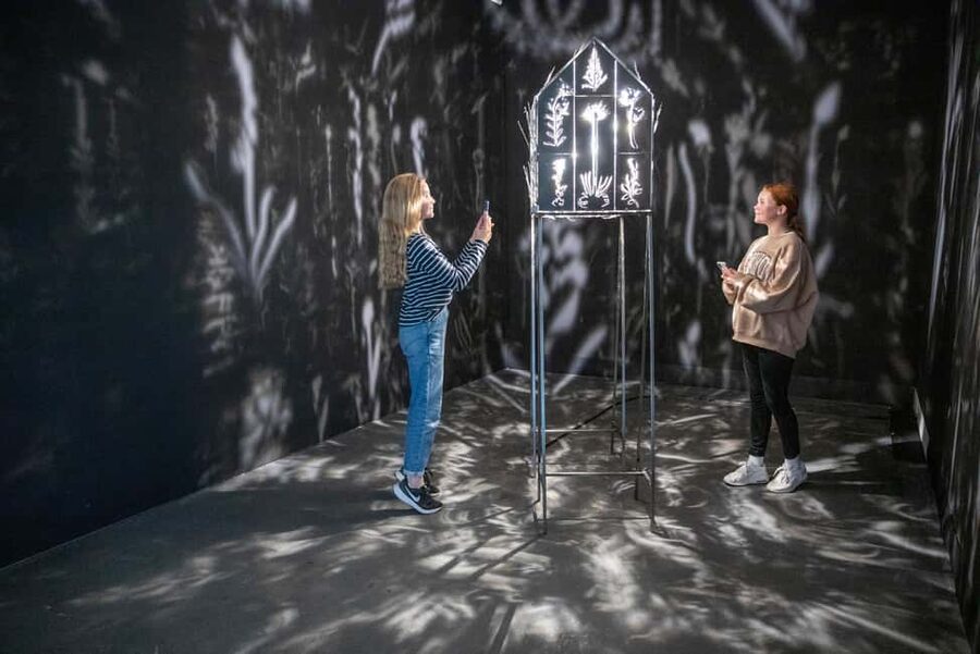 Rovaniemi: Culture Pass to Arktikum and Korundi - Key things to know before you go