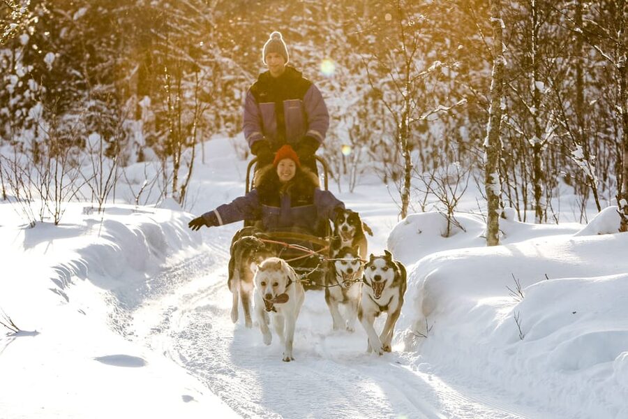 Rovaniemi: Daytime Husky Safari - Quick Key Points Before You Go