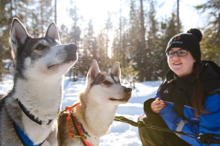 Rovaniemi: Daytime Husky Safari - Why This Daytime Husky Safari in Rovaniemi Hits Different Than a Quick Tour