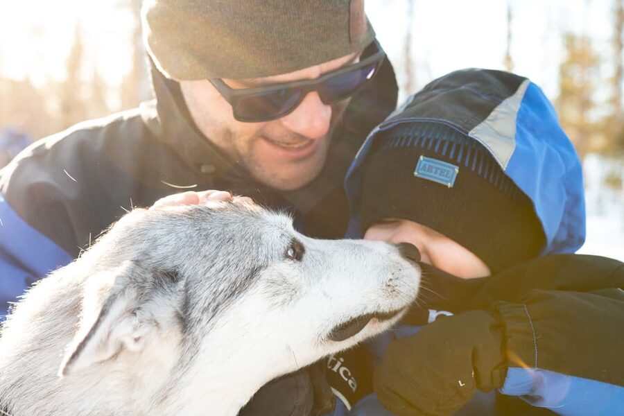 Rovaniemi: Daytime Husky Safari - Price and Value: What $209 Buys in the Real World