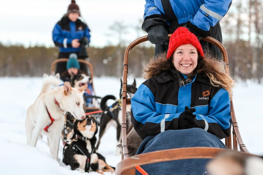 Rovaniemi: Daytime Husky Safari - Common Snags to Plan Around (Without Ruining the Fun)