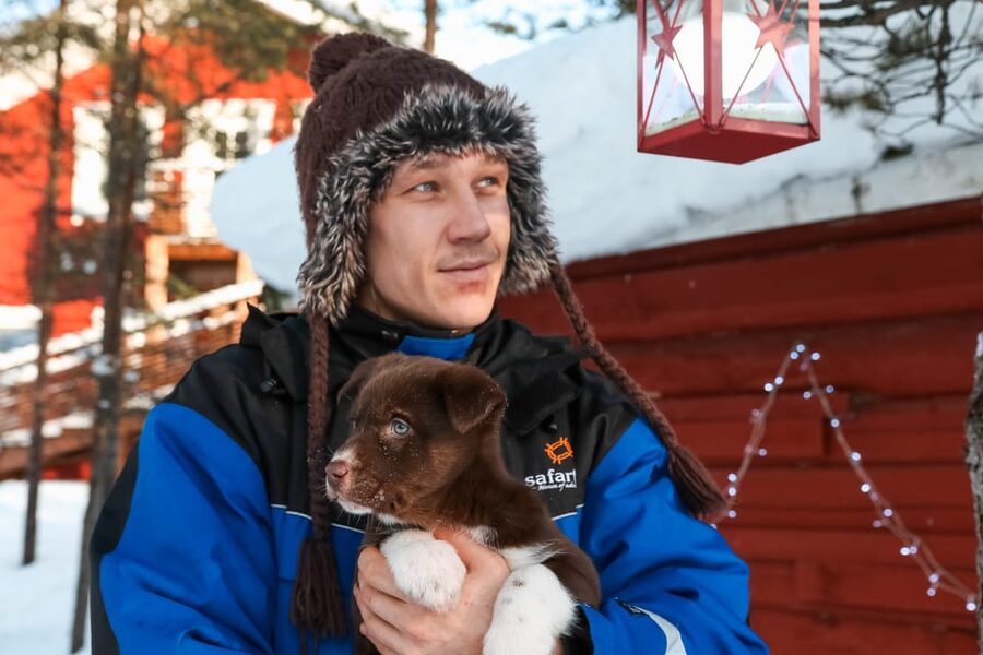 Rovaniemi: Daytime Husky Safari - From Pick-Up to Kennel Walk: The Part That Sets Your Mood