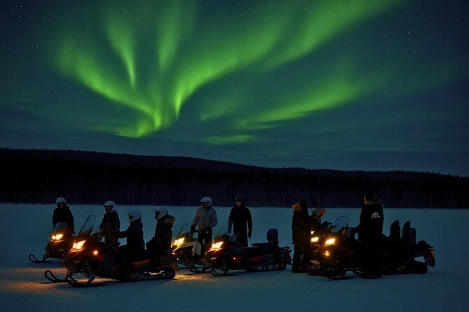 Rovaniemi: Drive New 2025 Snowmobiles - Aurora Adventure - The 2-hour snowmobile ride on private forest and tundra trails