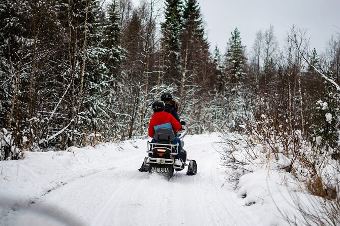 Rovaniemi: Drive New 2025 Snowmobiles on Arctic Safari & BBQ - Key highlights you’ll care about