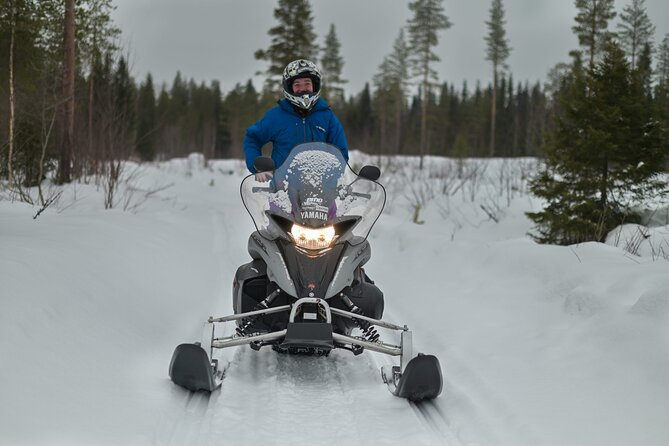 Rovaniemi: Drive New 2025 Snowmobiles on Arctic Safari & BBQ - Rovaniemi snowmobile safari: private trails, not a conveyor belt