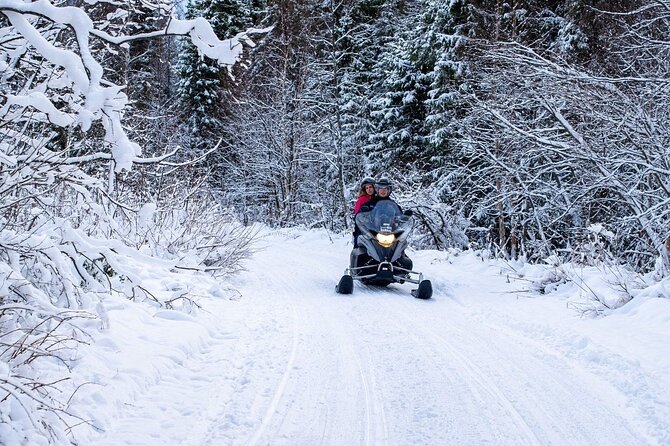 Rovaniemi: Drive New 2025 Snowmobiles on Arctic Safari & BBQ - The gear plan: thermal overalls, heated handlebars, and staying warm