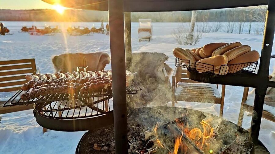 Rovaniemi: Drive New 2025 Snowmobiles on Arctic Safari & BBQ - The snowmobile ride: forest tracks, open tundra, and frozen lake moments