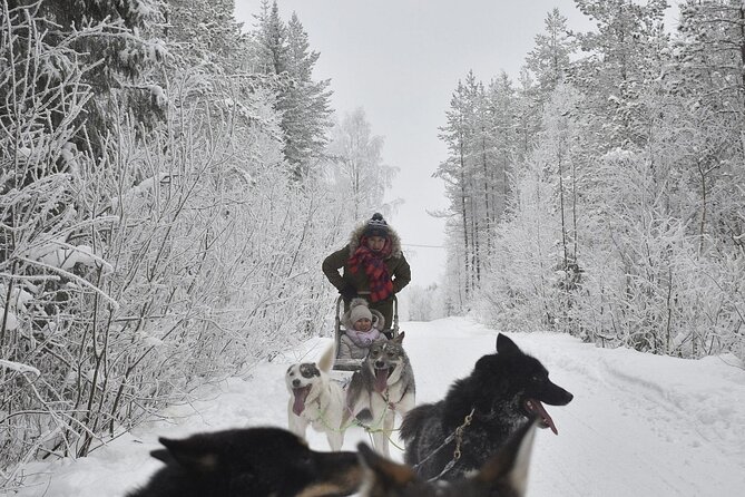 Rovaniemi: Drive Your Own Husky Team (6-10 km) & BBQ - The Lapland BBQ Finish: Warm Food, Warm Hands, Warm Mood