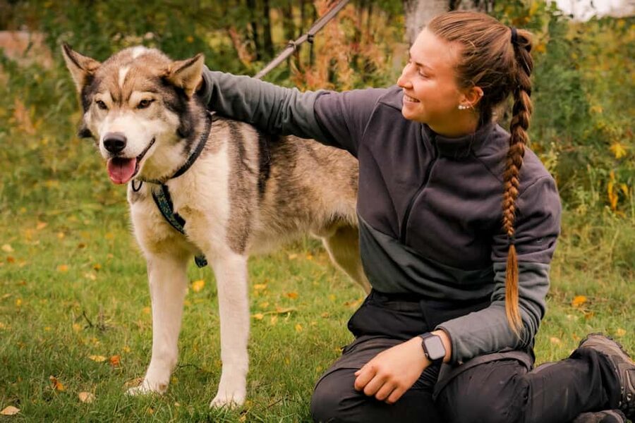 Rovaniemi: Drive Your Own Husky Team (Autumn) & BBQ - Who should book this autumn husky cart tour