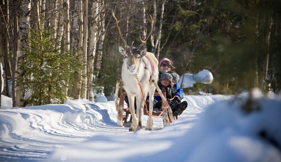 Rovaniemi: Evening Reindeer Safari - Finnish kota hot drinks: the warm-up that turns the ride into a story