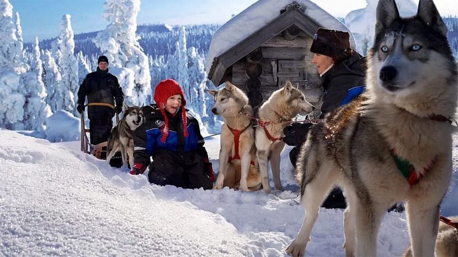 Rovaniemi: Family Friendly Husky Ride and Farm Visit - Why A Rovaniemi Husky Farm Visit Feels Like The Best First Lapland Activity