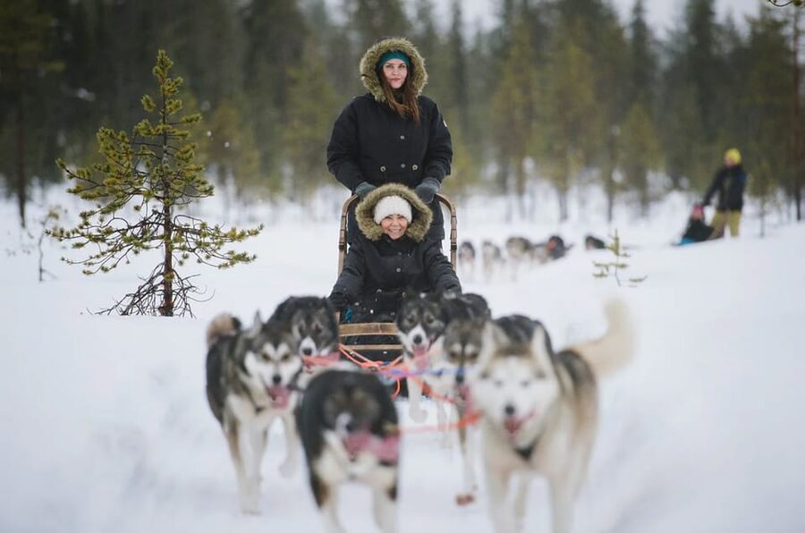 Rovaniemi: Family Friendly Husky Ride and Farm Visit - Who This Tour Fits Best, and Who Should Rethink It