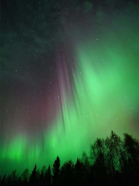 Rovaniemi: Family-Friendly Northern Lights Tour - Northern Lights Reality Check, and How the Tour Handles It