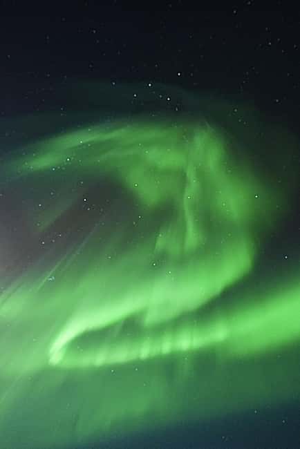 Rovaniemi: Family-Friendly Northern Lights Tour - What to Pack: Dressing for Arctic Cold, Even With a Warm Car