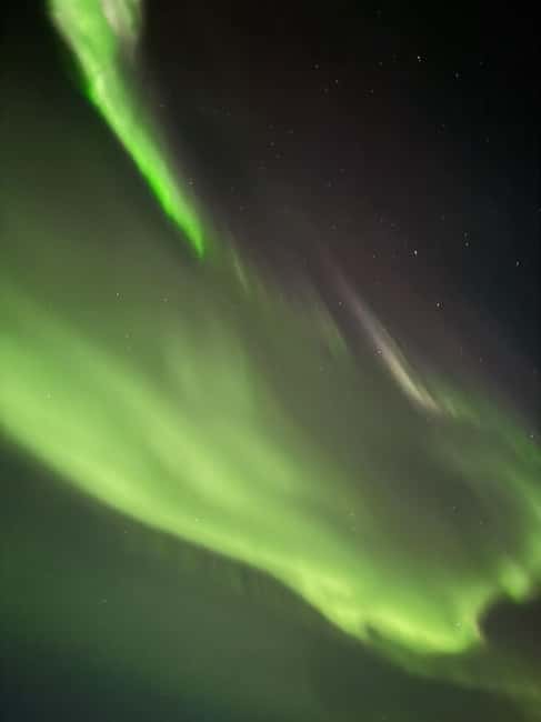 Rovaniemi: Family-Friendly Northern Lights Tour - Group Size, Languages, and the Feel of the Evening