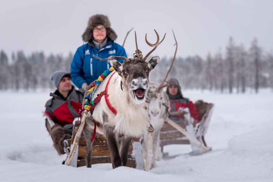 Rovaniemi: Family Fun Day with Huskies and Reindeer - Thermal Overalls, Winter Boots, and Staying Warm Through the Action