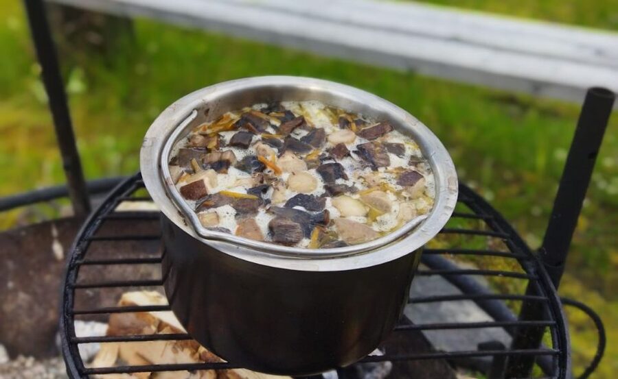 Rovaniemi forest foraging adventure: Pick, Prepare, Savor - Why Lapland Forest Foraging Turns Learning Into Real-Life Flavor