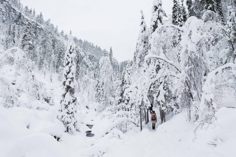 Rovaniemi: Frozen Waterfalls of Korouoma Canyon & Pro Photos - Key things to know before you go