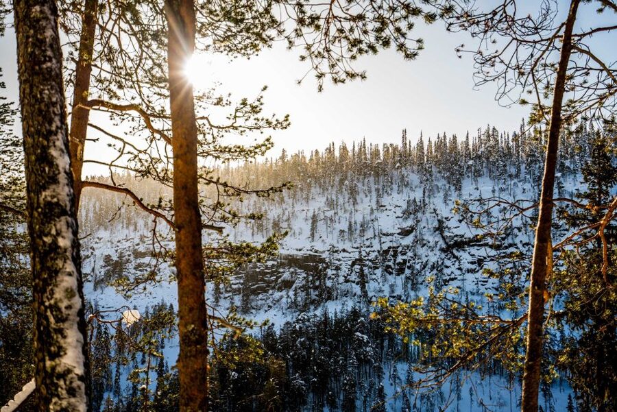 Rovaniemi: Frozen Waterfalls of Korouoma Canyon & Pro Photos - Small-Group Touring: Why Up to 8 People Changes the Day