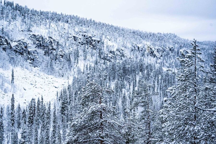 Rovaniemi: Frozen Waterfalls of Korouoma Canyon & Pro Photos - Price and Value: What $159 Covers That You’ll Feel Later