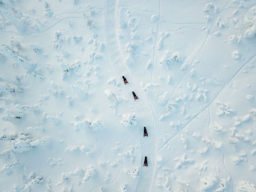 Rovaniemi: Full-Day Snowmobile Safari into the Wilderness - Key points to know before you go