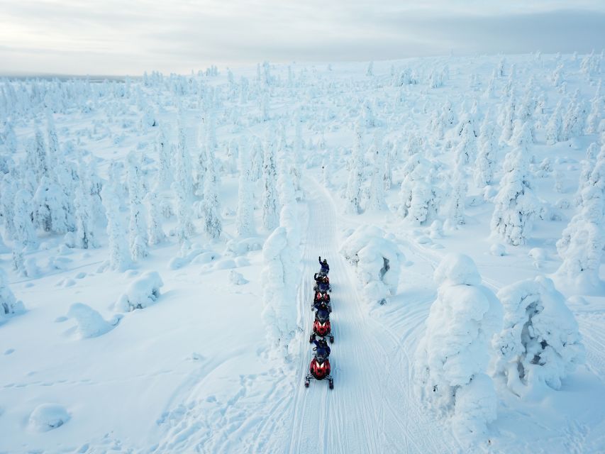 Rovaniemi: Full-Day Snowmobile Safari into the Wilderness - Why this 6-hour snowmobile safari feels like true Lapland