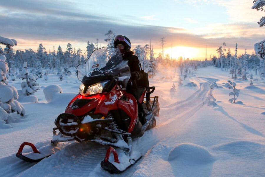 Rovaniemi: Full-Day Snowmobile Safari into the Wilderness - Wildlife moments: reindeer sightings can happen
