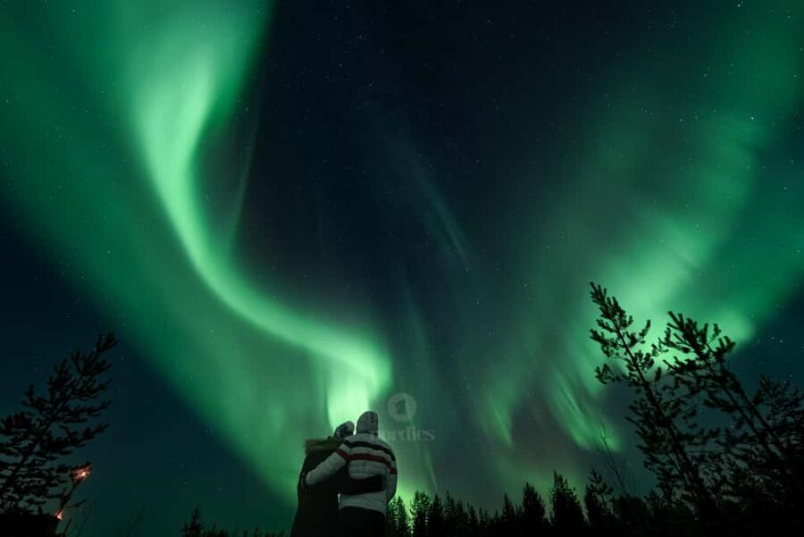Rovaniemi: Genuine Aurora Hunting with Unlimited Pro Photos - Price and value: is $206 per person a fair deal?